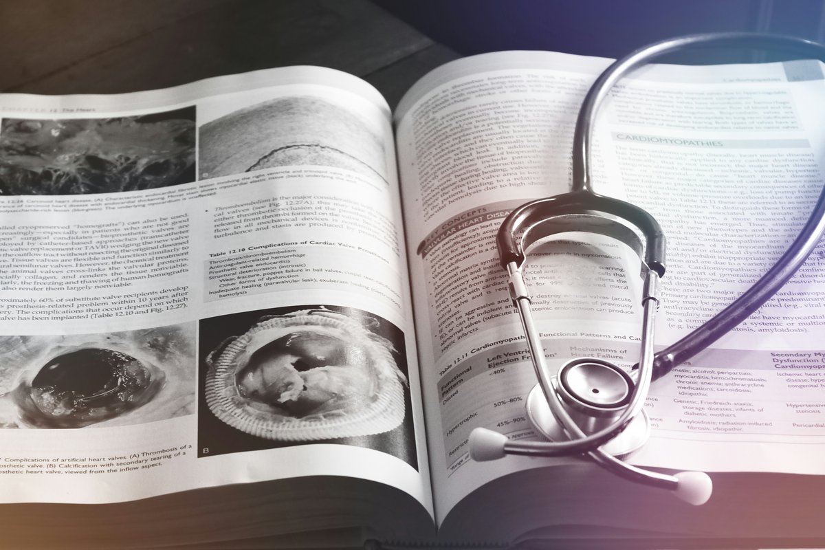 Researcher reviewing journal publications